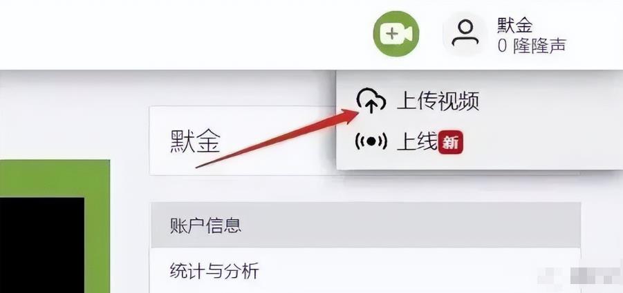 国外网赚项目,无脑搬砖发视频,一个视频10美金