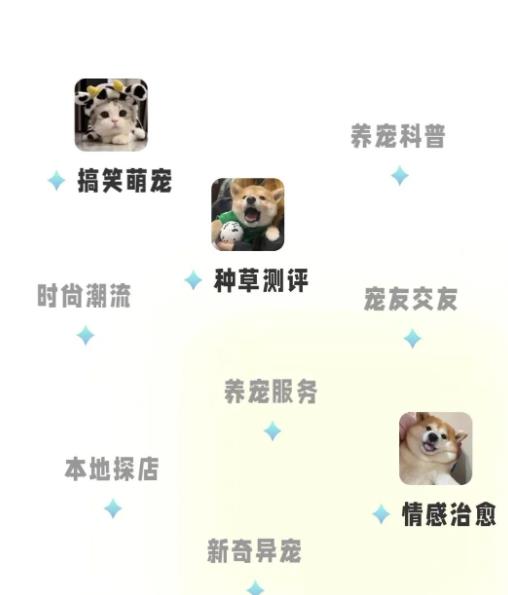 宠胖胖撸金项目,新平台放水,无脑搬砖,日入100+