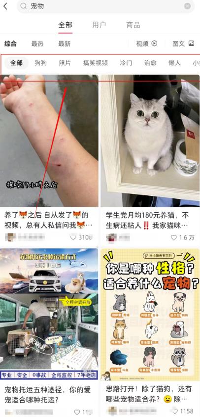 宠胖胖撸金项目,新平台放水,无脑搬砖,日入100+