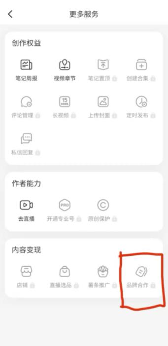 日赚600+的小红书起号技巧,你一定要来看看