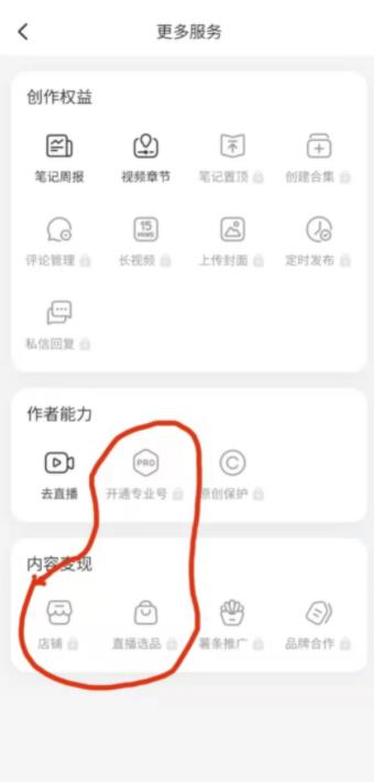 日赚600+的小红书起号技巧,你一定要来看看