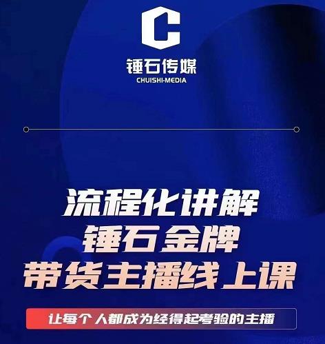 锤石传媒婉婉·金牌带货主播线上课,流程化讲解,打造金牌带货主播