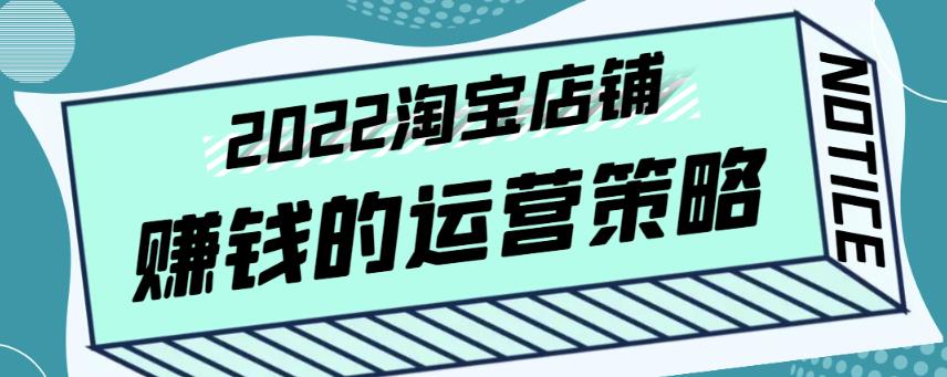 震宇老师·2022年淘宝店铺赚钱的运营策略,一套能够盈利的赚钱打法
