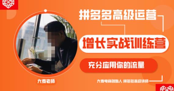 拼多多高级运营增长实战训练营,充分应用你的流量(拼多多2980元付费课程)