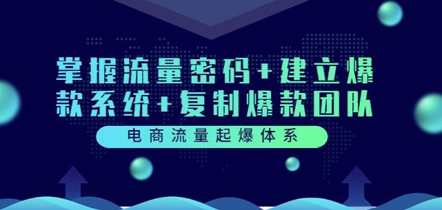 电商流量起爆体系:掌握流量密码+建立爆款系统+复制爆款团队(价值599)