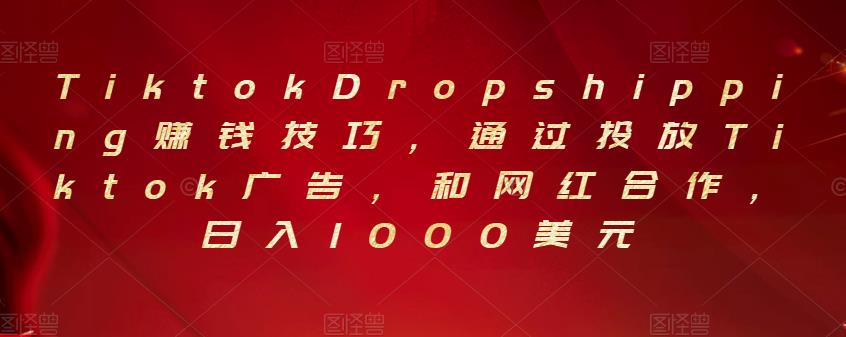 Tiktok Dropshipping赚钱技巧,通过投放Tiktok广告,和网红合作,日入1000美元
