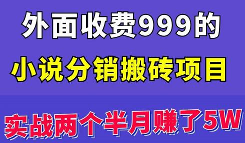 外面收费999的小说分销搬砖项目:实战两个半月赚了5W块,操作简单!