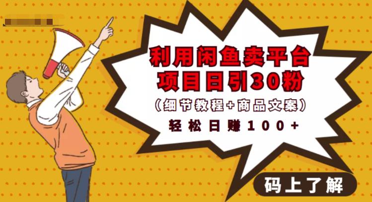 利用闲鱼卖平台项目课程资源日引流30+精准粉丝,轻松日赚100+,积累人脉可实现二次变现(细节教程+商品文案)