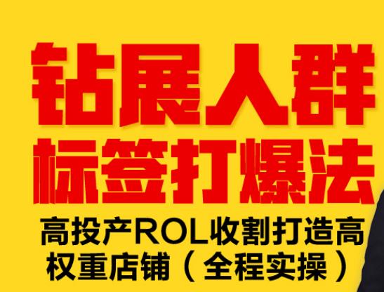 钻展人群标签打爆法,高投产ROL收割打造高权重店铺(全程实操)