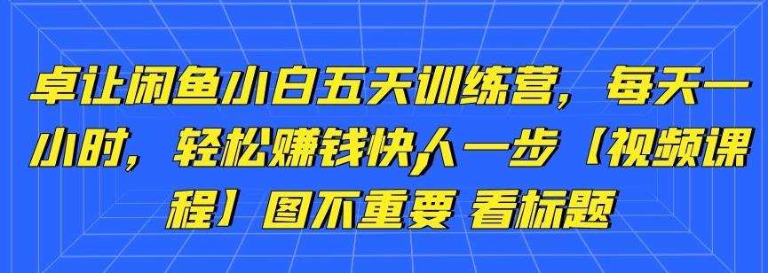 卓让闲鱼小白五天训练营,每天一小时,轻松赚钱快人一步【视频课程】