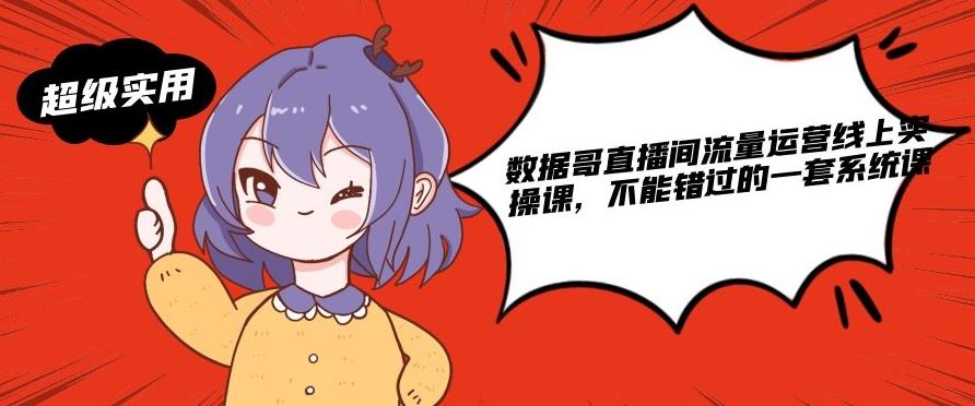 数据哥直播间流量运营线上实操课,不能错过的一套系统课
