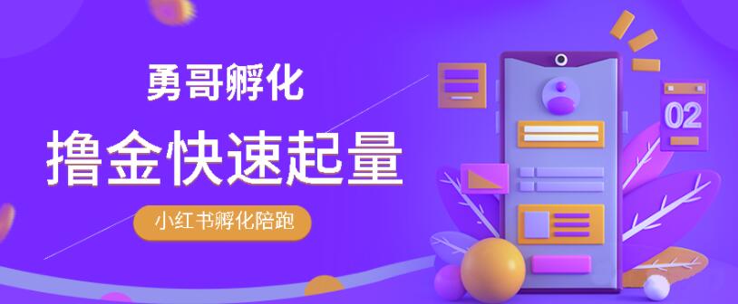 勇哥·小红书撸金快速起量陪跑孵化营,教你在小红书平台实现副业的睡后收入