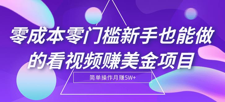 零成本零门槛新手也能做的看视频赚美金项目,轻松月赚5W+【视频教程】