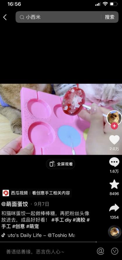 蓝海冷门项目,速度抢占市场,变现容易,月赚8000起