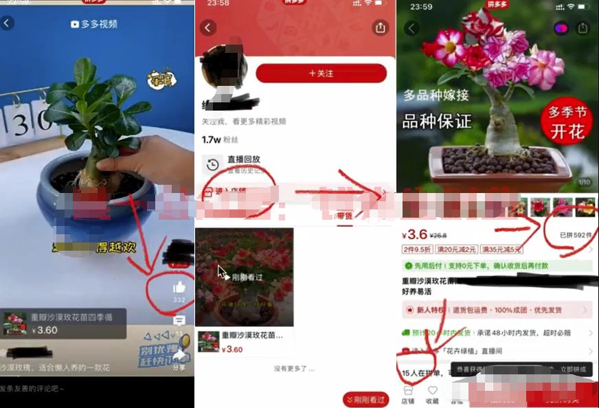 蓝海项目,详细拆解日出千单,日入3000的核心玩法