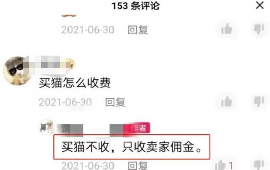 抖音热门同城副业项目,无脑操作一天500+