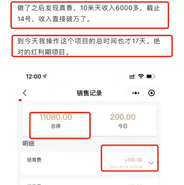 红利期赚钱项目,简单操作,17天收入11000