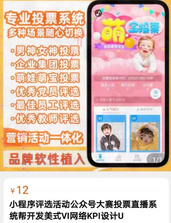 网上投票赚钱项目,靠执行力如何月入过万元?技巧分享