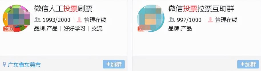 网上投票赚钱项目,靠执行力如何月入过万元?技巧分享