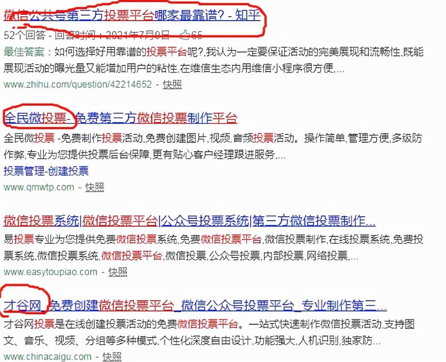 网上投票赚钱项目,靠执行力如何月入过万元?技巧分享