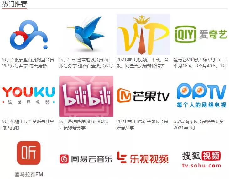 “账号共享网”,2个小时搭建渠道,全自动帮你引流赚钱