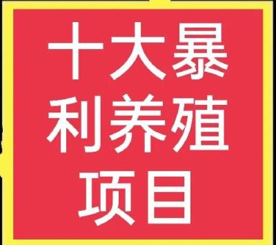 养殖项目有哪些,十大高收益养殖项目推荐分享