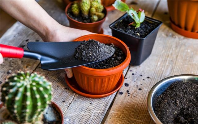 小型加工厂做什么好:小型加工厂做什么赚钱哪些行业值得选