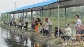 农村创业项目有哪些,适合在农村创业干啥最赚钱的项目