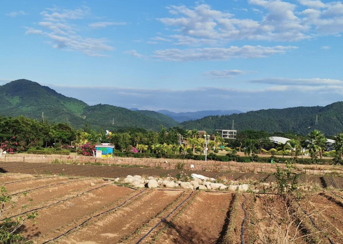 创业项目排行榜前十名(2023年投资创业可选择的10个项目)