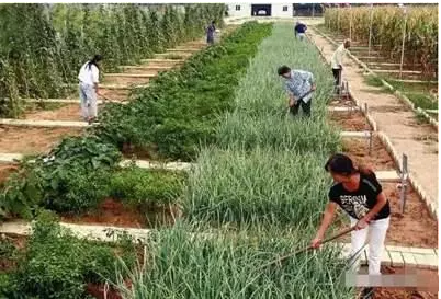 2023年必火的8个稳赚的女性创业项目冷门赚钱的生意点子