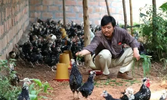 自主创业回农村创业,这4个工作“偏冷”却比打工强