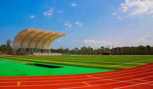 学校创业做什么好,大学生在校园创业项目金点子推荐