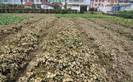 农村小工厂暴利,农村5个不起眼的创业项目