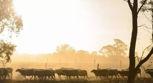 农村5个不起眼的创业项目,8个稳赚的女性创业