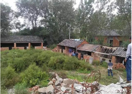 不上班的100种活法留在农村创业,年收入60万元