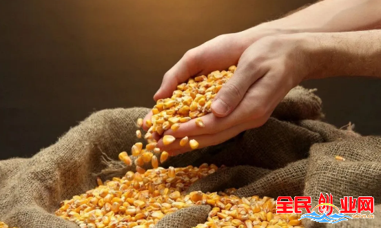 适合没经验女性开的店 2023年度冷门偏门的几个小本创业好项目