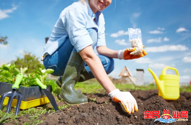 农村创业好项目:十大不起眼的赚钱行业冷门偏门好前景的小生意