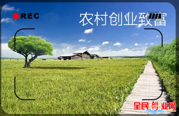 没人注意的暴利行业打工不如创业农村有哪些10万元以下的小本创业项目?