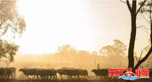 2023年在农村创业的4个不起眼的创业项目投资成本小(快速致富项目)