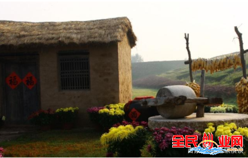 农村露天院子能做什么生意好赚钱?(在家致富好项目适合农村的项目)