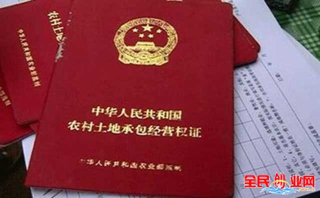 寻求农村致富项目有哪些?(年轻人回农村创业赚钱的项目月入2万以上)