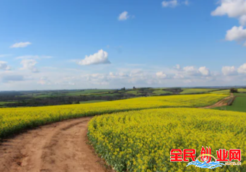 月入2万的10个小生意(盘点10个农村现在有什么好的赚钱项目赚钱看这里)