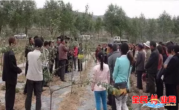 在农村创业做点什么好,三个冷门项目收益惊人!