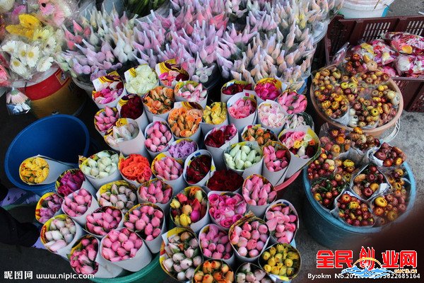 适合女人在家创业项目有哪些?2023年在家创业最佳项目50个