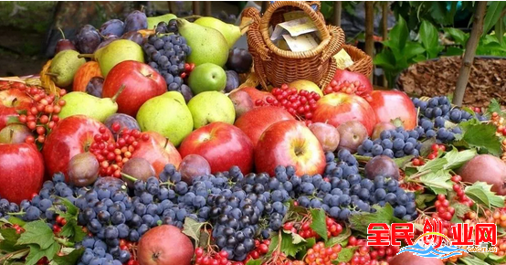 2023年在家做什么生意挣钱?四个小本创业项目很不错利润高!