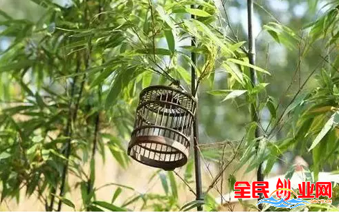 做别人不知道冷门生意项目,才能真正的赚钱致富!