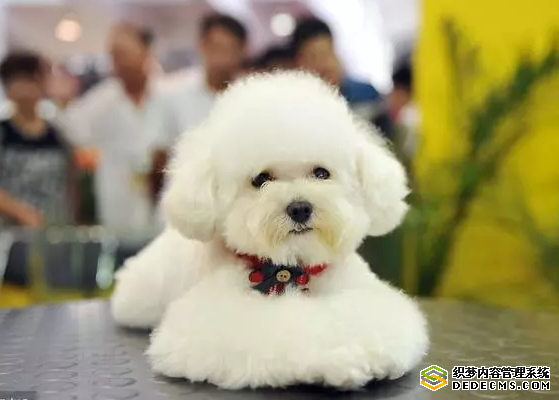 2023适合年轻人投资的哪些行业比较赚钱?