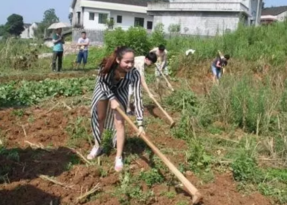在农村能干点什么好,在家创业好点子送给你!