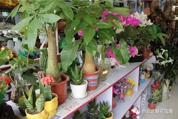 10大冷门暴利创业好项目,赶紧收藏起来吧!