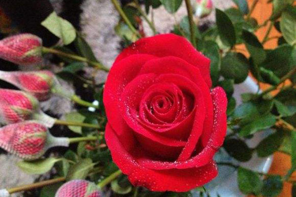 5000元成本创业投资能做什么项目?小成本有创业项目吗